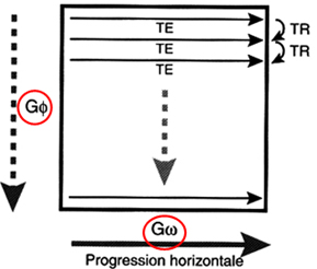 Encodage perpendiculaire de la fréquence et de la phase