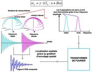 Encodage_spatial2